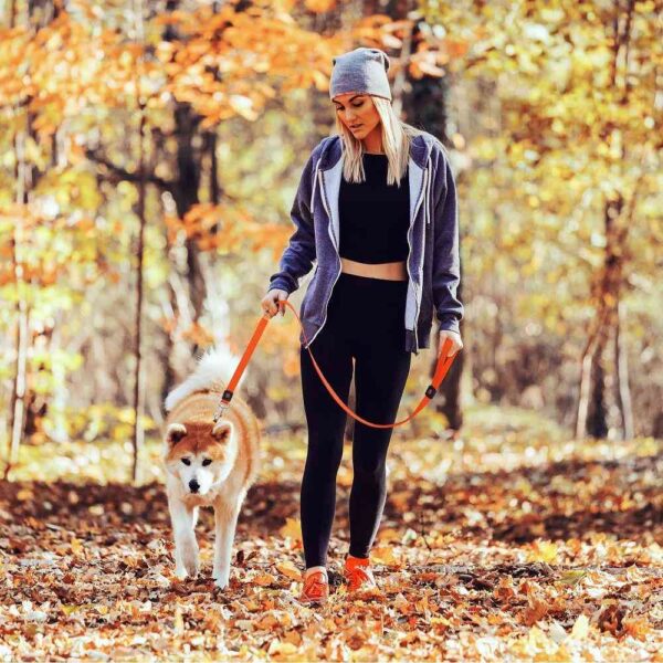 בחורה מטיילת עם כלב קשור בקצועת ניילון של חברת DOCO