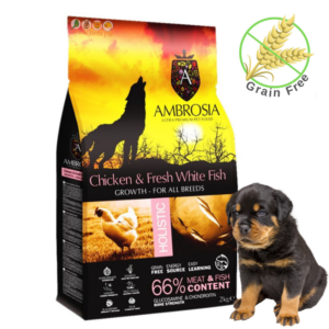 מזון לגורי כלבים אמברוסיה