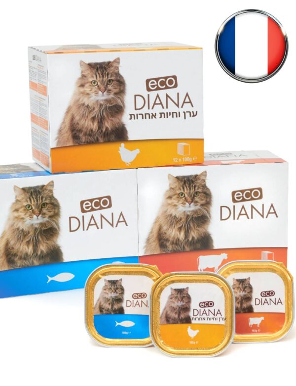 קופסאות שימורי פטה לחתולים של חברת דיאנה טעמי סלמון, בשר בקר ובשר עוף