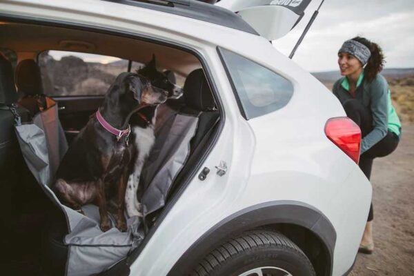כלבים יושבים על כיסוי רכב של RUFFWEAR