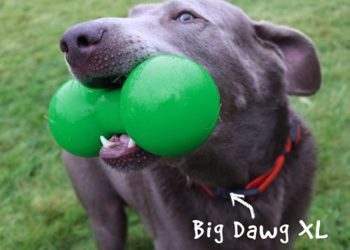 כלב מגזע גדול עם צעצוע של חברת RUFFDAWG בפה