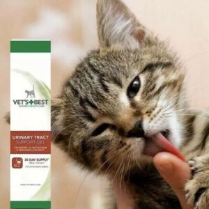 חתול בפרסומת מלקק תוסף תזונה מהאצבע