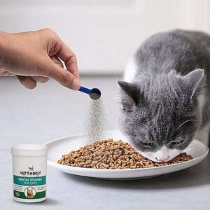 פיזור אבקה דנטלית לחתולים על האוכל