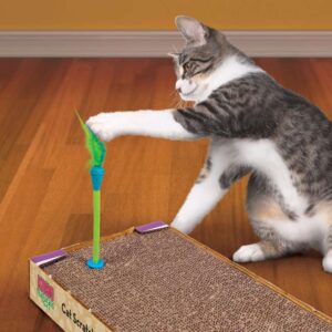 חתול משחק בצעצוע של קונג על משטח גירוד
