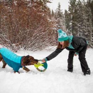 כלב משחק בשלג עם צעצוע משיכה של ראפוור