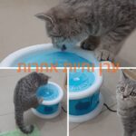 מזרקת מים לחתולים
