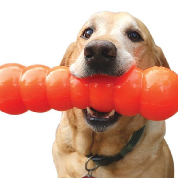 כלב לועס צעצוע של ruffdawg