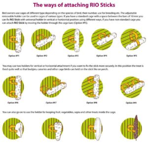 הצורה שבה ניתן למקם את החטיף לתוכים של חברת RIO