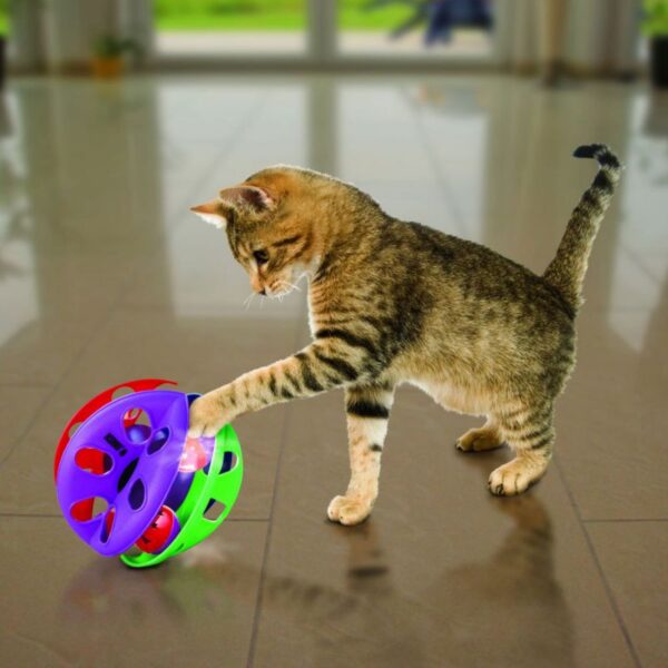 חתול משחק בצעצוע של קונג קריס קרוס