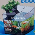 אקווריום קטן חצי עיגול שמתאים למשרדים ופינות קטנות