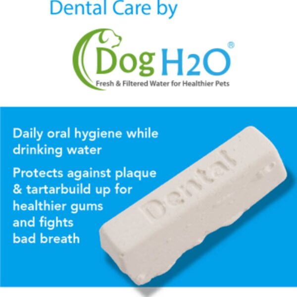 טבליותת הגנה על שיני הכלב DOG H2O