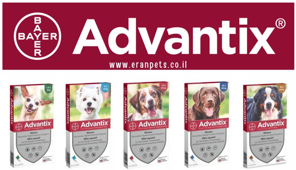 5 סוגי אמפולות לכלבים של אדוונטיקס