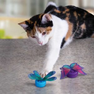 חתול משחק בצעצוע של קונג בצורת פרפר
