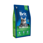 brit-cat8chicken