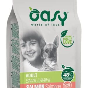 Cat_496606_1560
