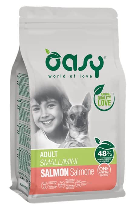 Cat_496606_1560