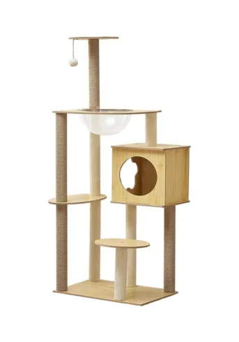 Cat_496606_1635
