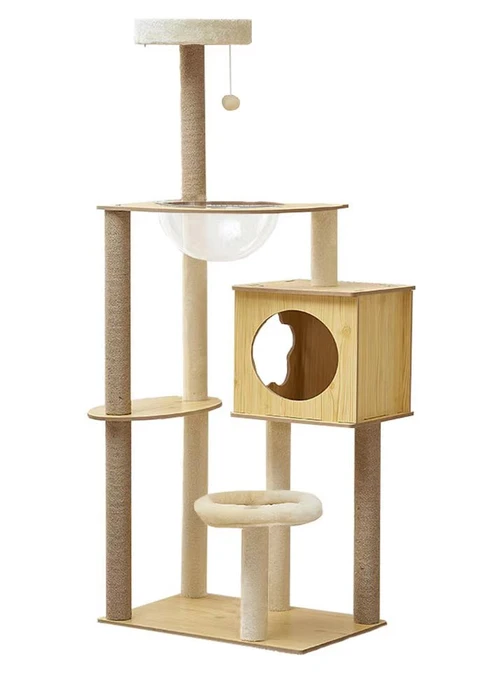 Cat_496606_1638