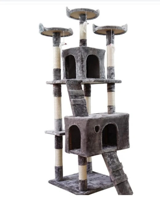 Cat_496606_1639