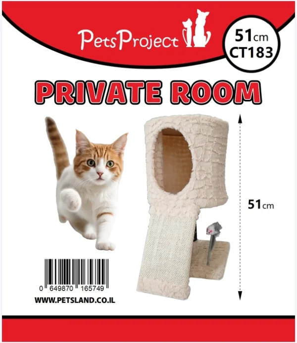 Cat_496606_1760