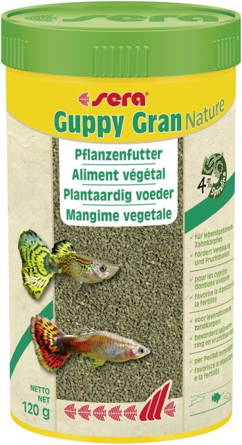 guppy-250-350x644