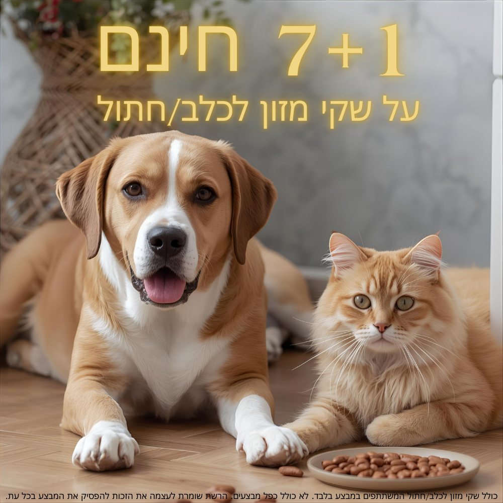 קונים 7 שקי אוכל קונים 7 שקי אוכל